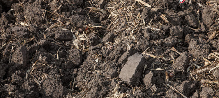 NREC showcases research funded, geared for farmers